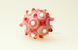 "piggy" Glasperle aus Reichenbach/Muranoglas  "piggy" Glasperle aus Reichenbach/Muranoglas