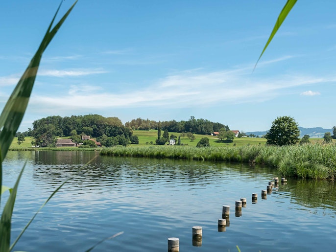 LÜTZELSEE – BADESEE MIT
SCHWIMMENDEN INSELN LÜTZELSEE – BADESEE MIT
SCHWIMMENDEN INSELN