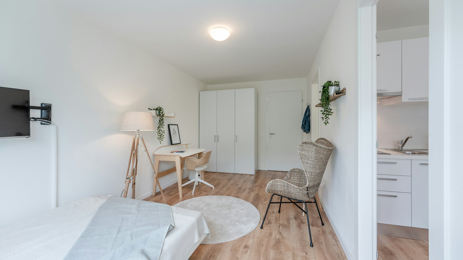 COSY PLUS COSY PLUS