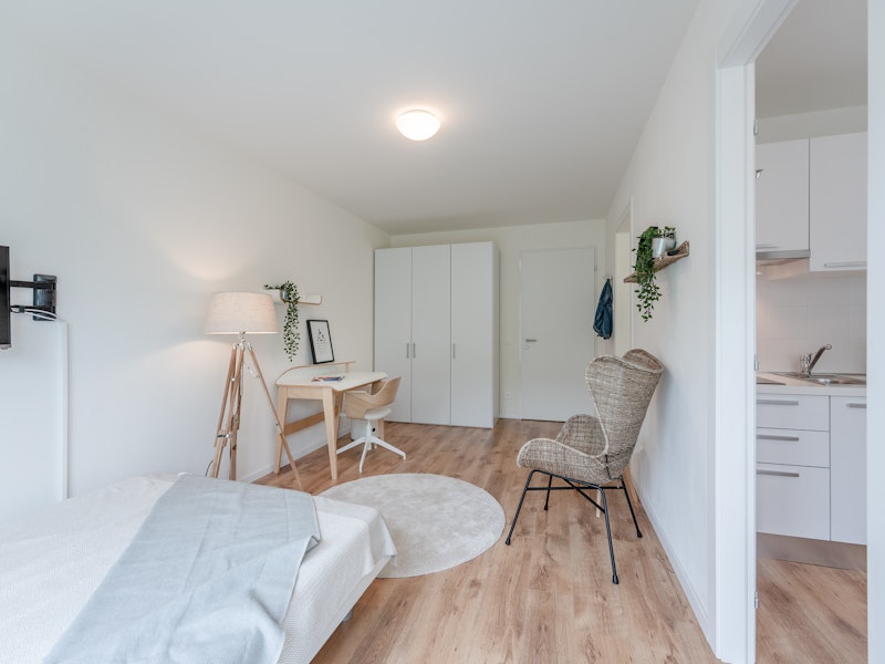 COSY PLUS COSY PLUS