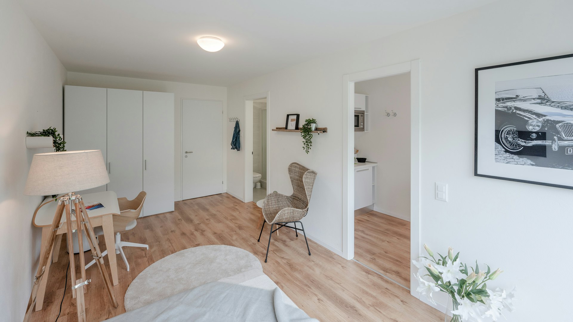 COSY PLUS COSY PLUS