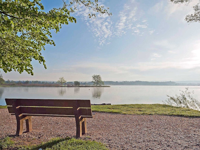 Das Naherholungsgebiet rund um den Greifensee ist sehr beliebt. Das Naherholungsgebiet rund um den Greifensee ist sehr beliebt.