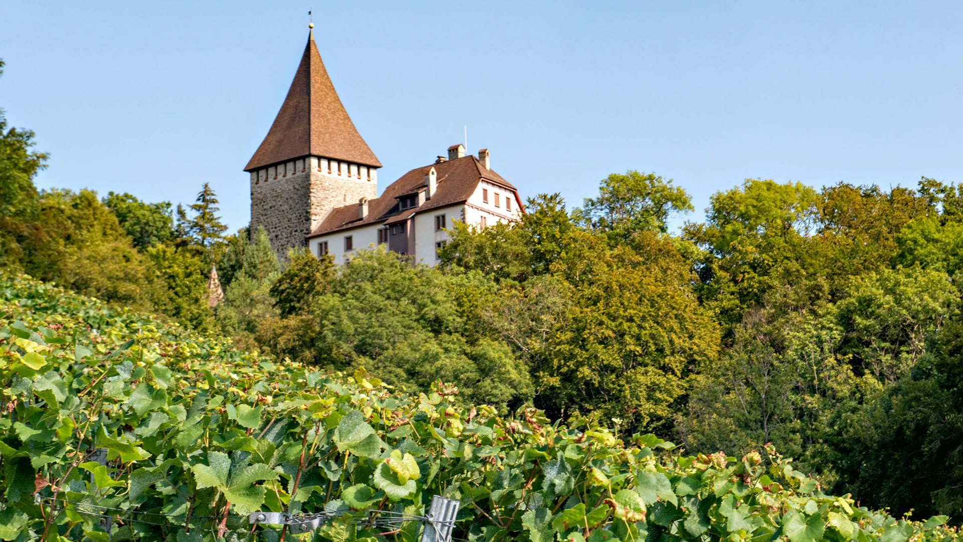 Das Schloss Weinfelden befindet sich auf einer Anhöhe des Ottenbergs Das Schloss Weinfelden befindet sich auf einer Anhöhe des Ottenbergs