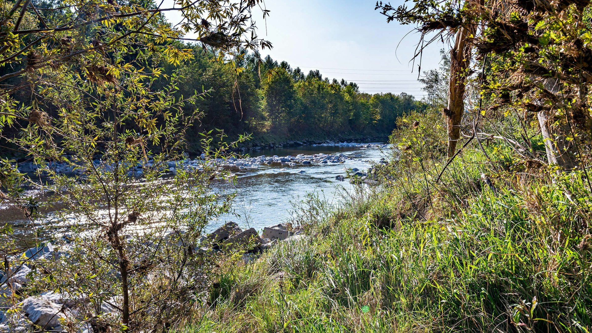 Die Thur ist nach dem Rhein der zweitlängste Fluss der Ostschweiz Die Thur ist nach dem Rhein der zweitlängste Fluss der Ostschweiz
