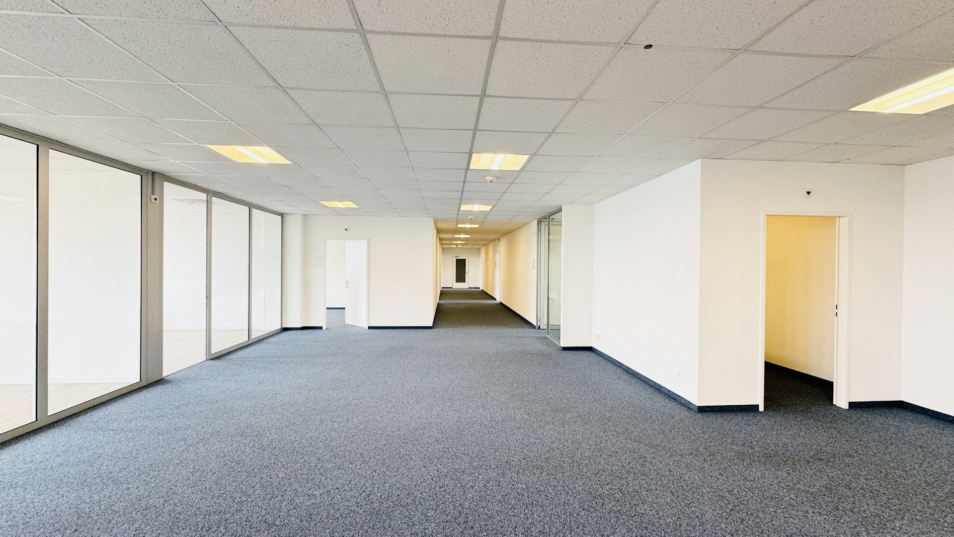 Ausstellungsraum oder Arbeitsplätze Ausstellungsraum oder Arbeitsplätze