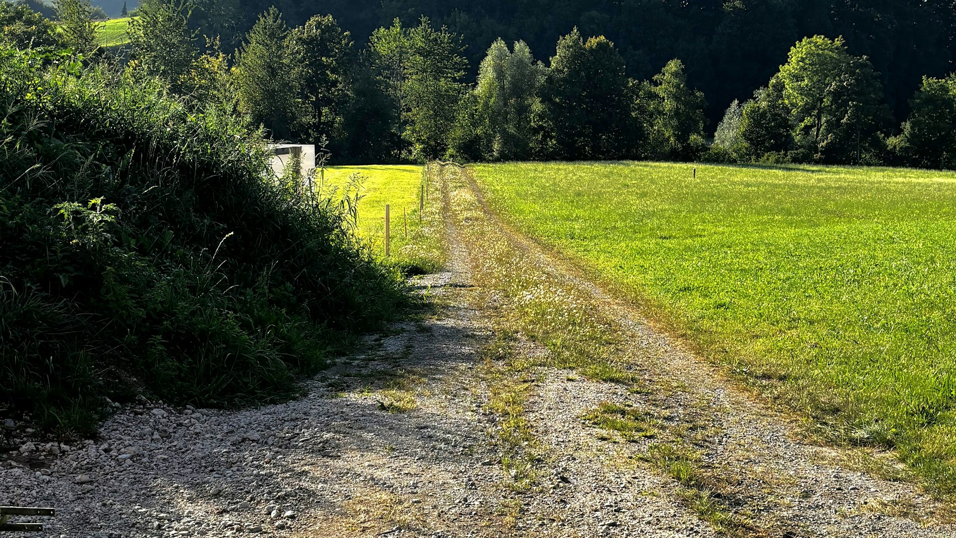 Spazierweg zur Murg neben dem Baufeld Spazierweg zur Murg neben dem Baufeld